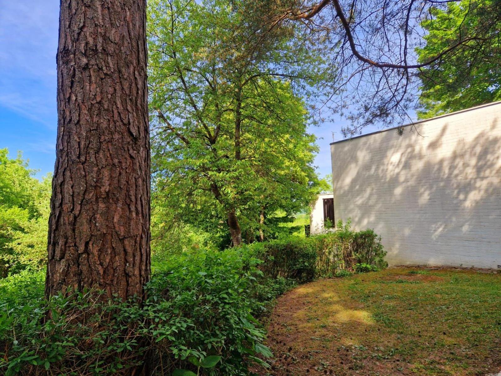 Berg-Bungalows Leinleitertal Heiligenstadt in Oberfranken Esterno foto