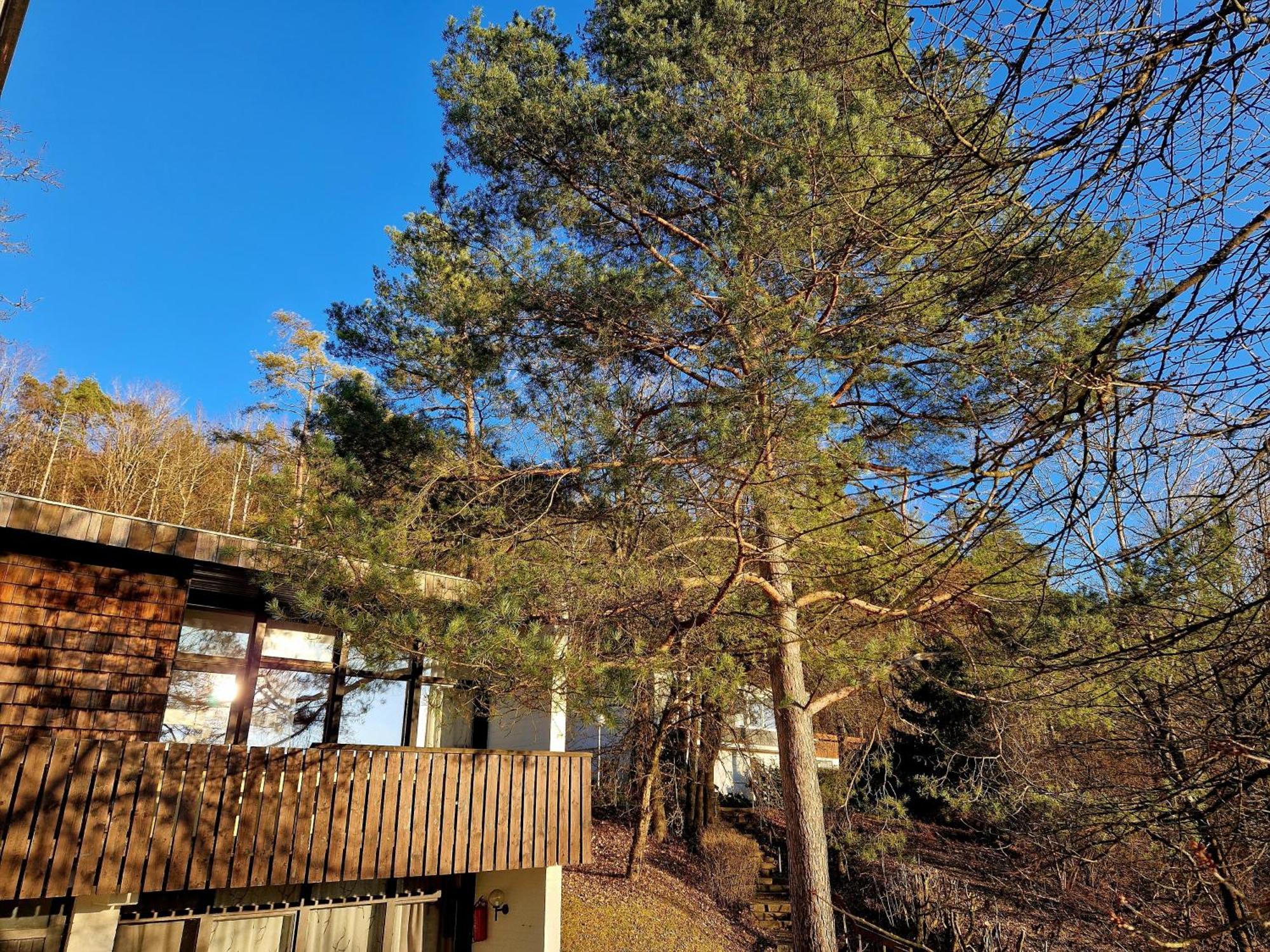 Berg-Bungalows Leinleitertal Heiligenstadt in Oberfranken Esterno foto